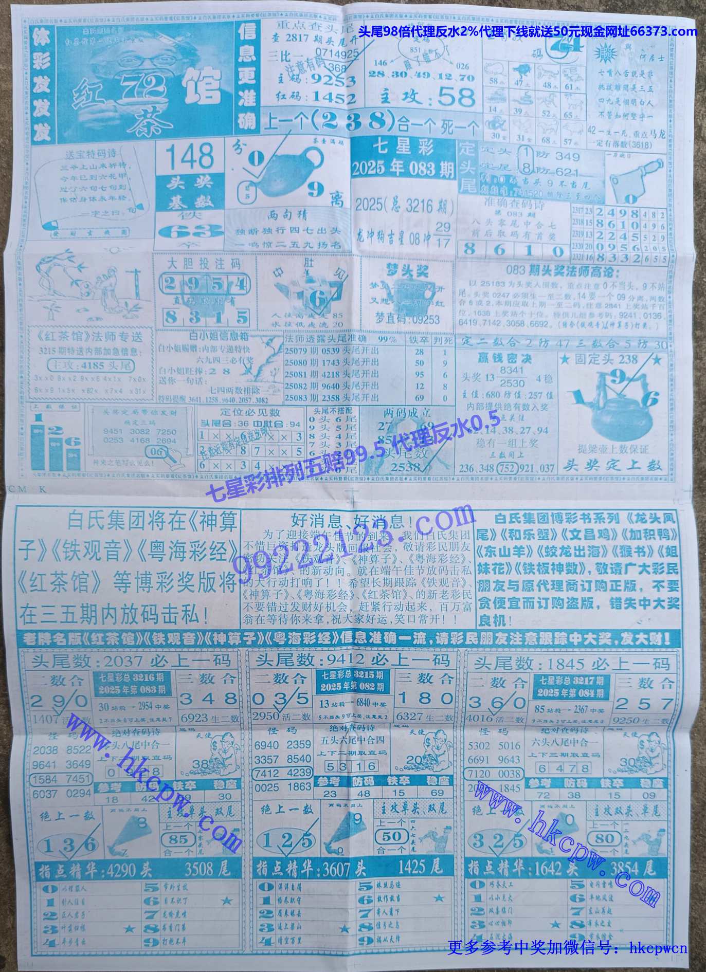 ���� (2).jpg