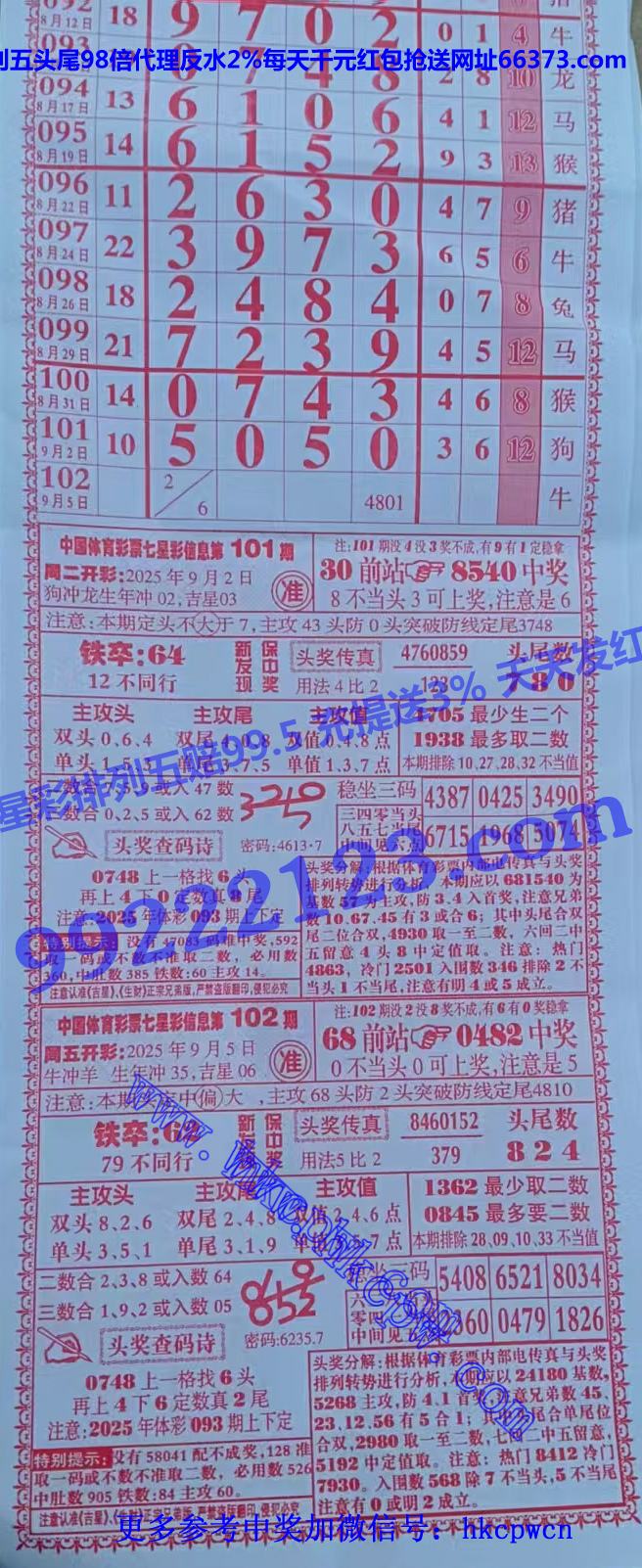 ���� (1).jpg